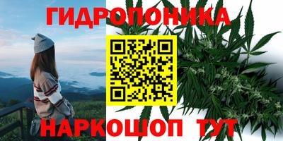 прущая мука Кингисепп