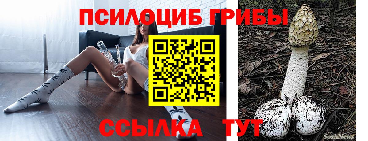 Галлюциногенные грибы Cubensis Лангепас