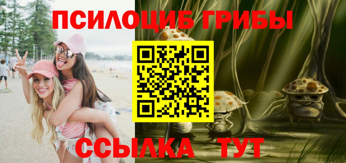 Галлюциногенные грибы Cubensis  Вход с VPN  Лангепас  Галлюциногенные грибы мицелий 